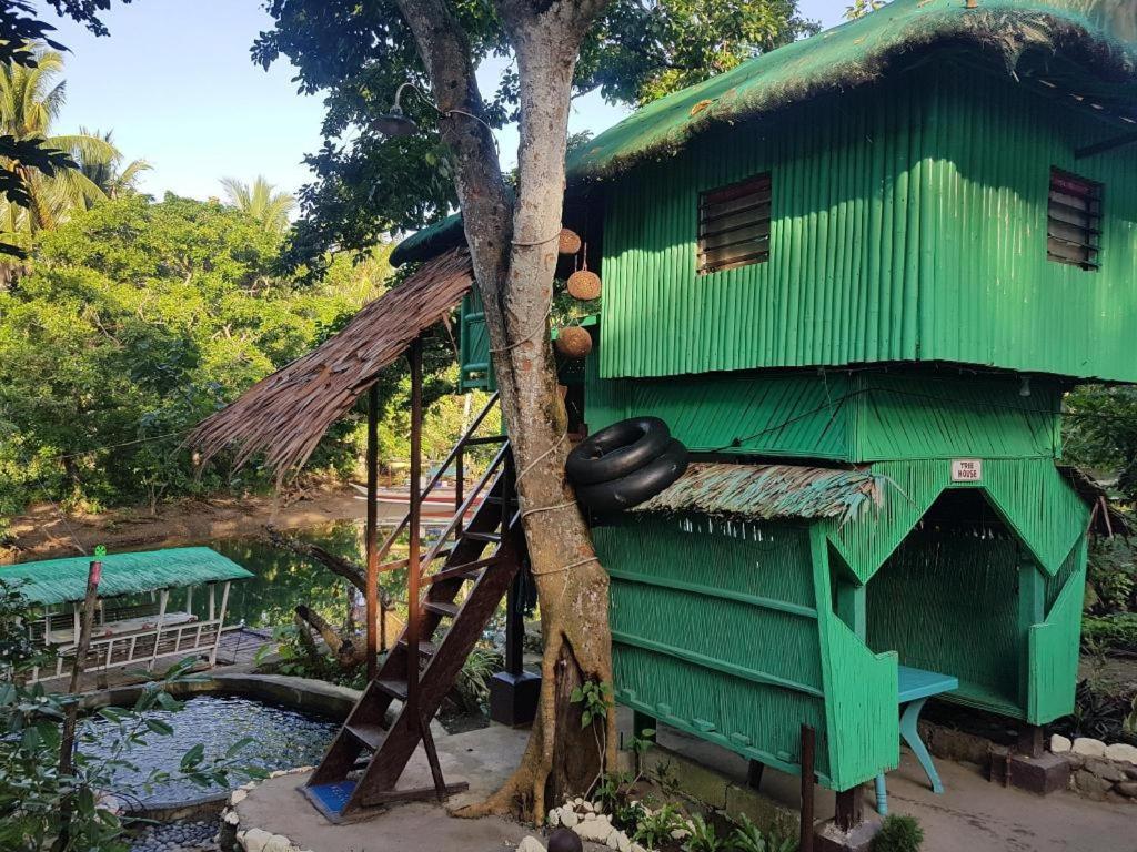 nature green forest resort Baler Eksteriør bilde