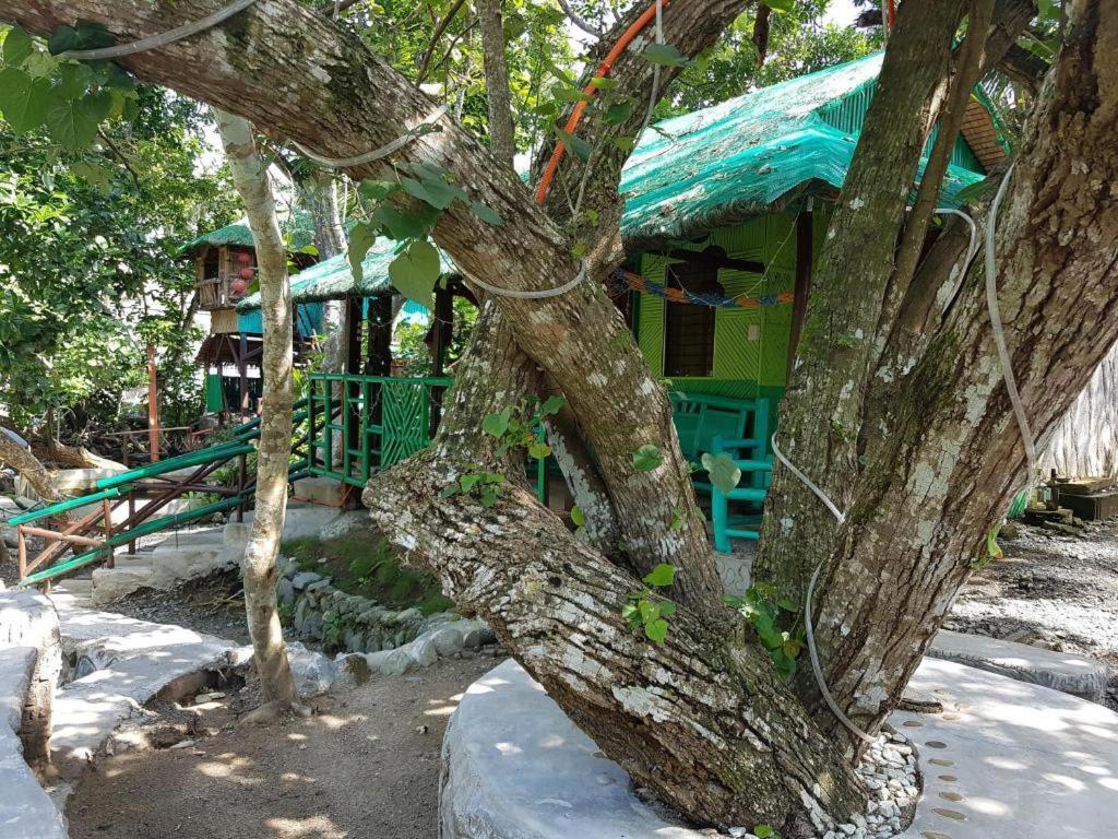 nature green forest resort Baler Eksteriør bilde