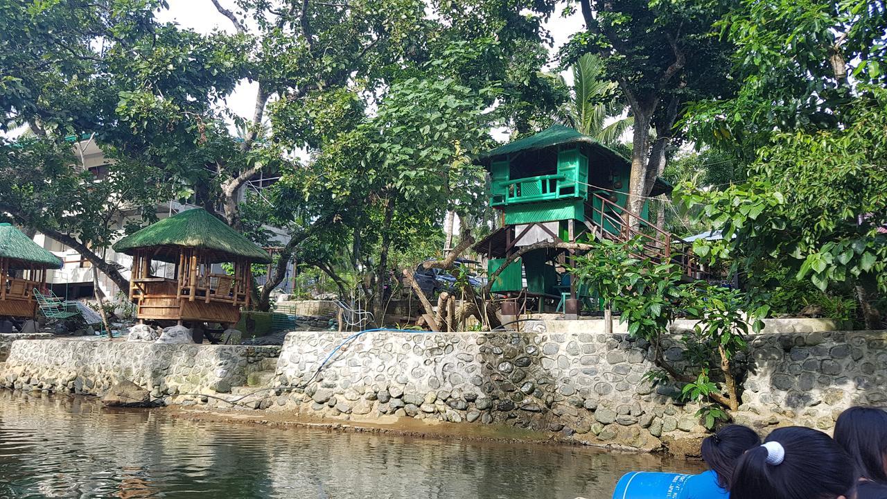 nature green forest resort Baler Eksteriør bilde