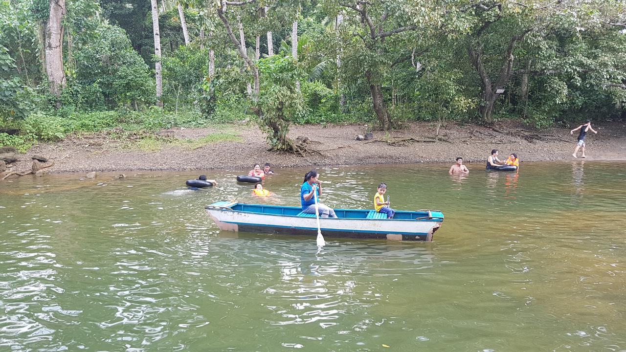 nature green forest resort Baler Eksteriør bilde