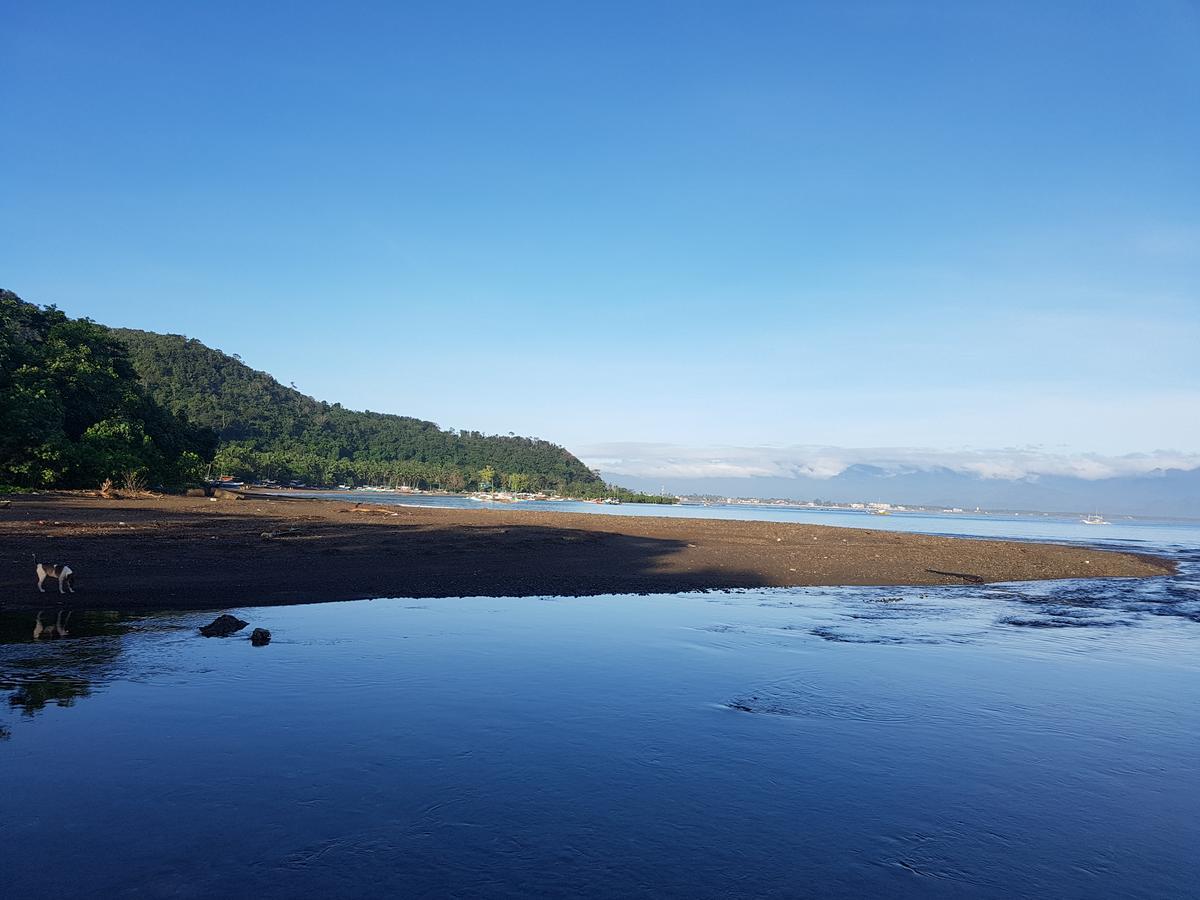 nature green forest resort Baler Rom bilde