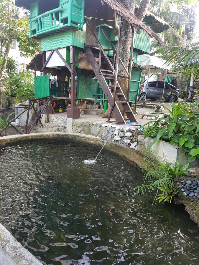 nature green forest resort Baler Rom bilde
