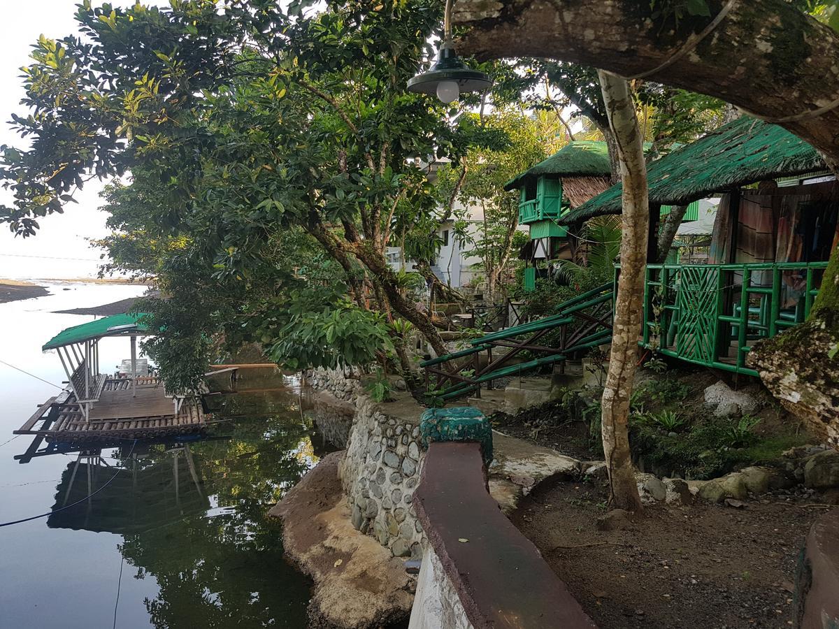 nature green forest resort Baler Rom bilde