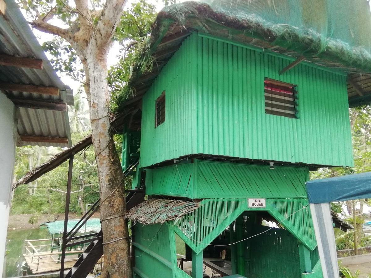 nature green forest resort Baler Eksteriør bilde