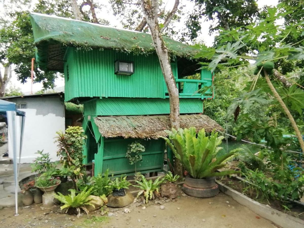 nature green forest resort Baler Eksteriør bilde
