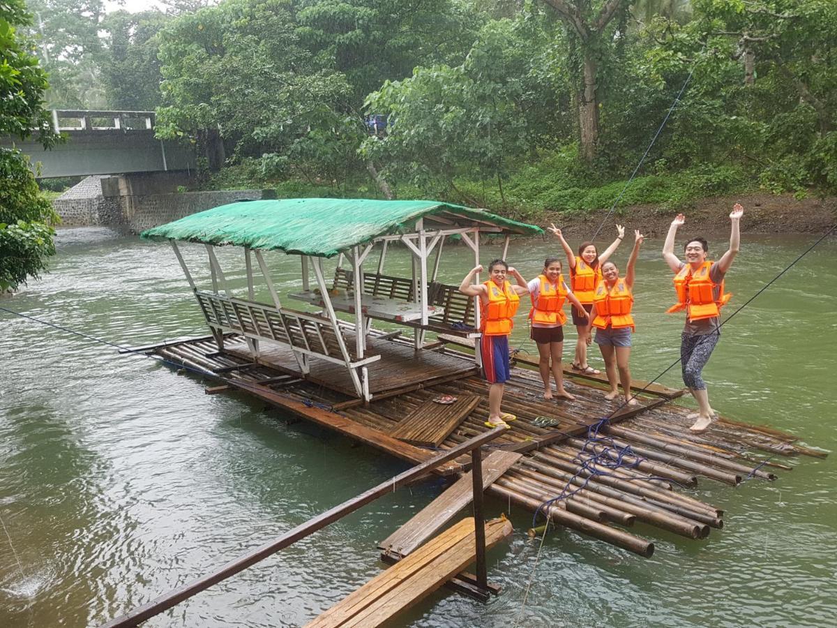 nature green forest resort Baler Rom bilde